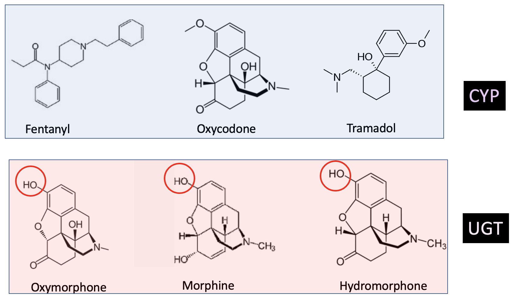 Some Opioids Get a Boost From Other Drugs, Some Don't. Here's Why